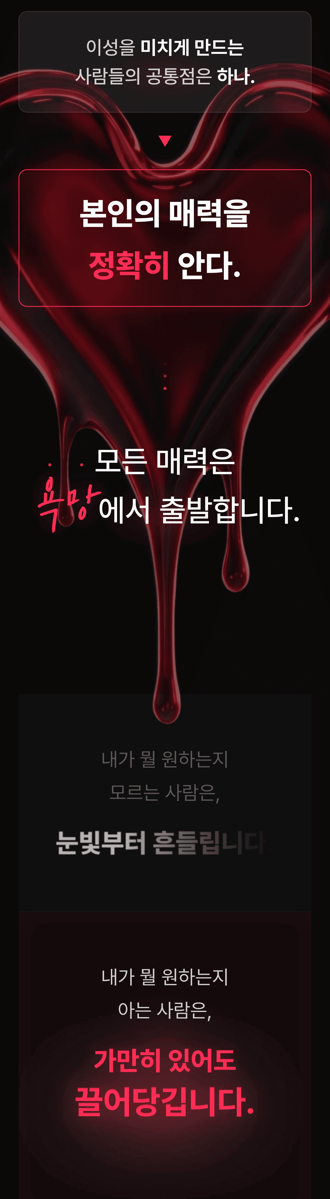 섹션4