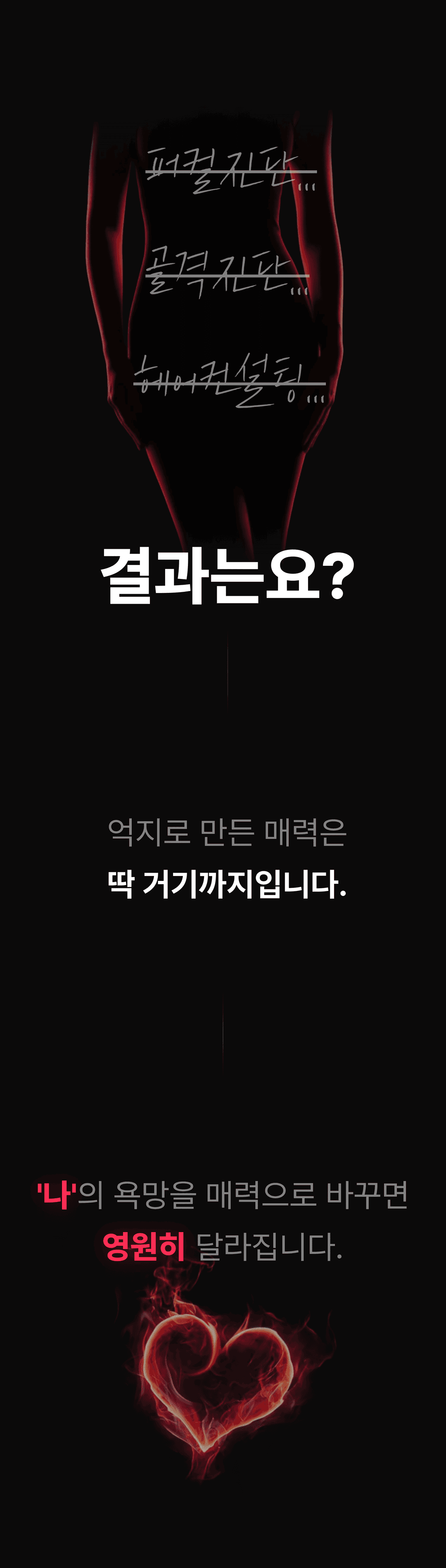 섹션8