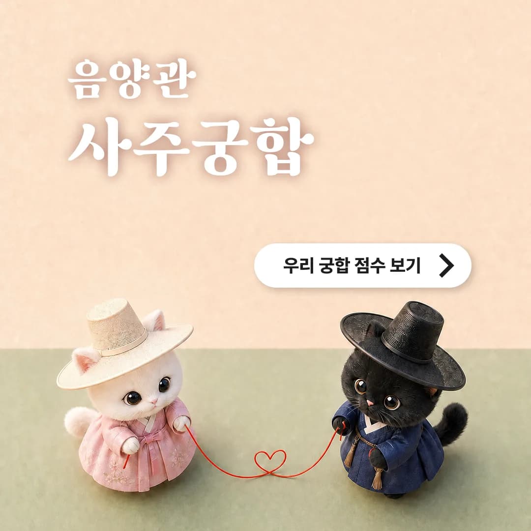 음양관 사주궁합