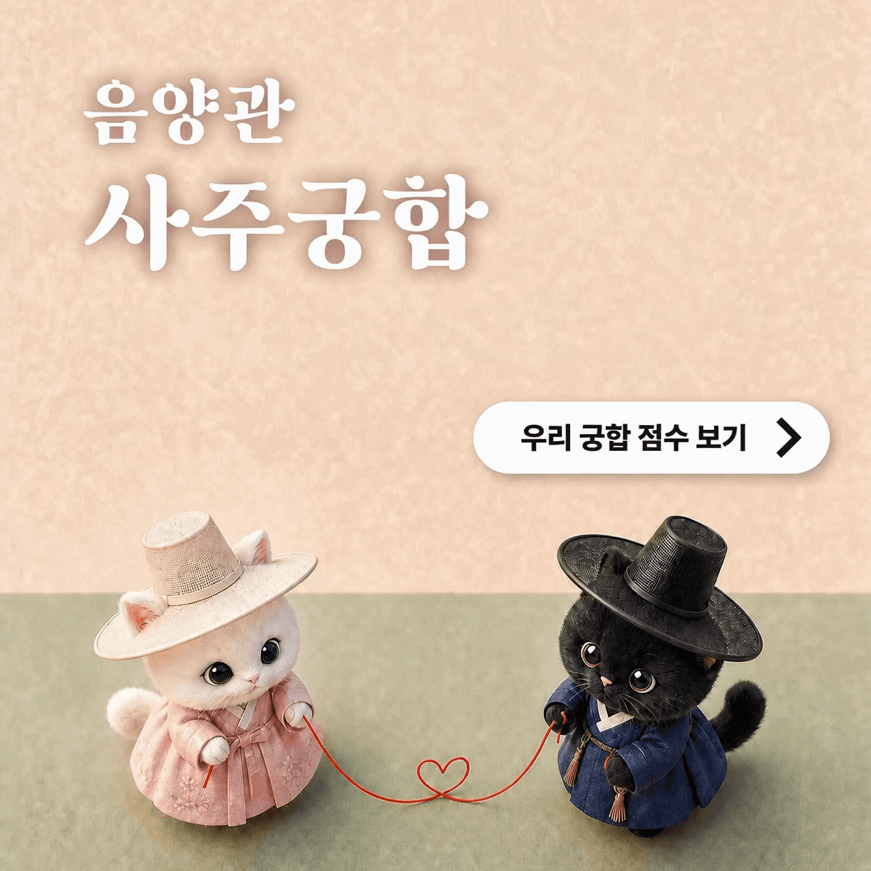 음양관 사주궁합